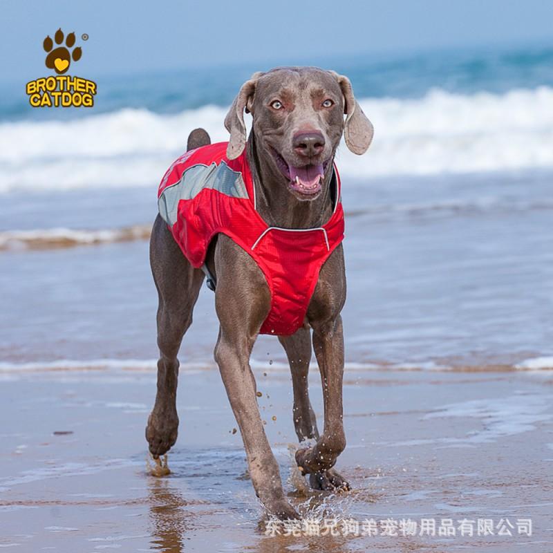 Winter Pet Dog Coat Large Breeds Golden Retriever Labrador Border Collie Nylon Warm Hooded Jacket In Red Blue Purple