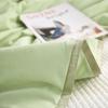 Tangna TN-SQ23033 Aloe Vera Beauty Quilt 4-Piece Bedding Set