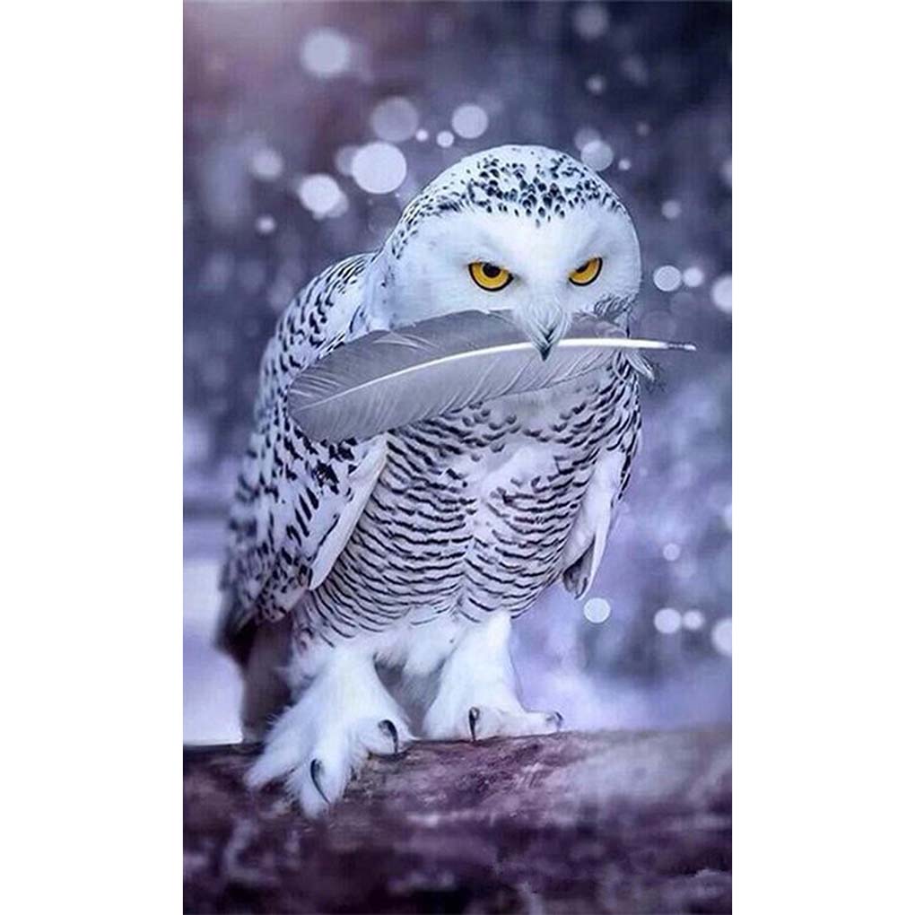 Snow White Owl DIY 5D Rhinestones Diamond Painting
