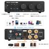 Douk Audio M1 MAX Power Amplifier 300W x2 Bluetooth Receiver Home Stereo Amplifier U-Disk Player