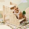 Chew-Proof Hamster Hideout House Wooden Small Pet Shelter Exercise Hamster Climbing Ladder  Gerbil