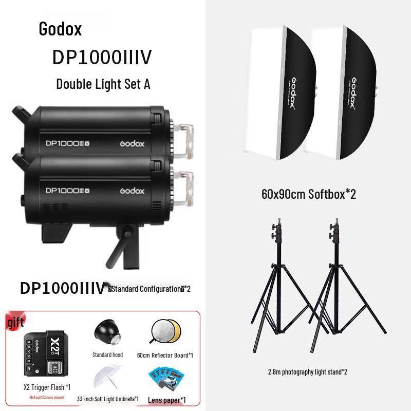 Godox DPIIIV-1000W Dual Studio Flash Kit A