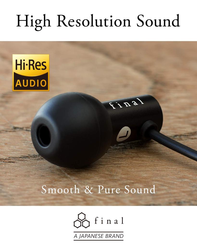 final E2000 In-Ear Earphones with Mic and Controller, Matte Black (FI-E2DALC)