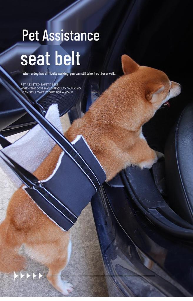 Senior Dog Support Harness for Rehabilitation: Chest Strap & Limb Assistance
