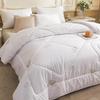 PAUI DAVID Antibacterial Nano Pearl Fiber Winter Quilt