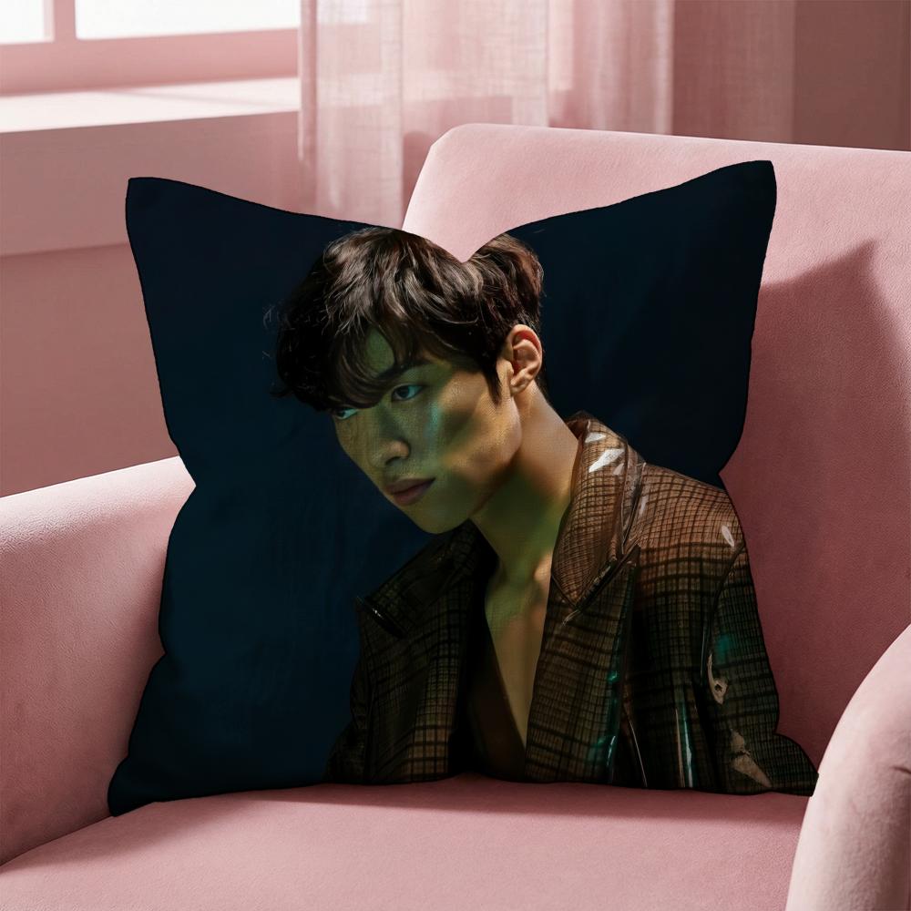W-Woo Do H-Hwan Cushion Cover Multi-Scene Pillow Cover for Home & Car - Reversible, Soft & Durable for Daily Use