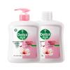 Dettol Moisturizing Antibacterial Hand Wash Family Set