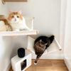Cat Hammock Bed Wall Mounted Climbing Cats Kitty Bed Funiture Stable Shelf Perches Cat House for Sleeping Playing Accessories
