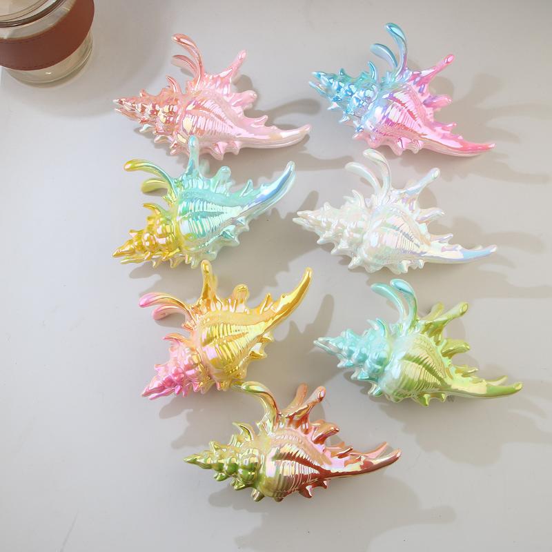 1Pcs Hair Claw Elegant Shark Clip Creative Conch Hairpin Colorful Gift For Summer Beach Headwear Hair Accessories