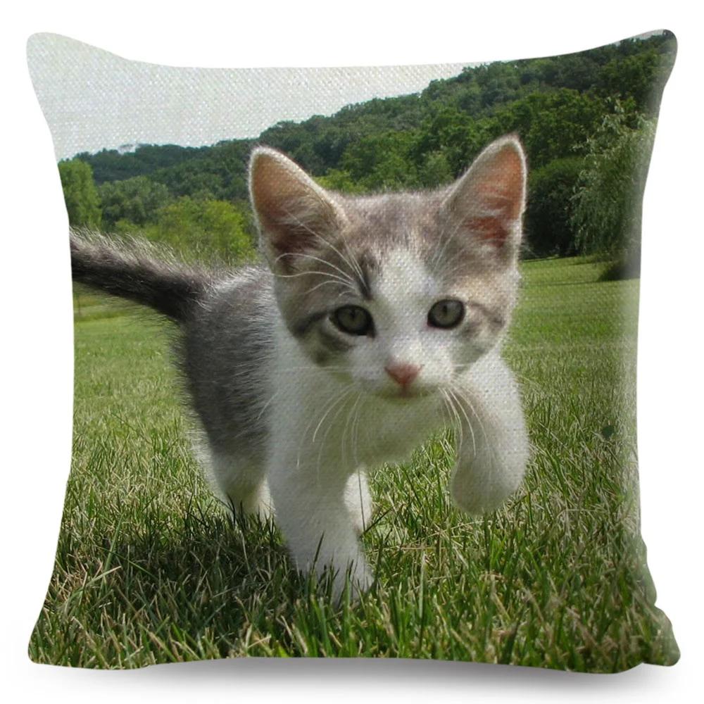 Funny Cute Cat Cushion Cover Decor Lovely Pet Animal Print Pillowcase Polyester Throw Pillow Case for Sofa Home Car 45x45cm