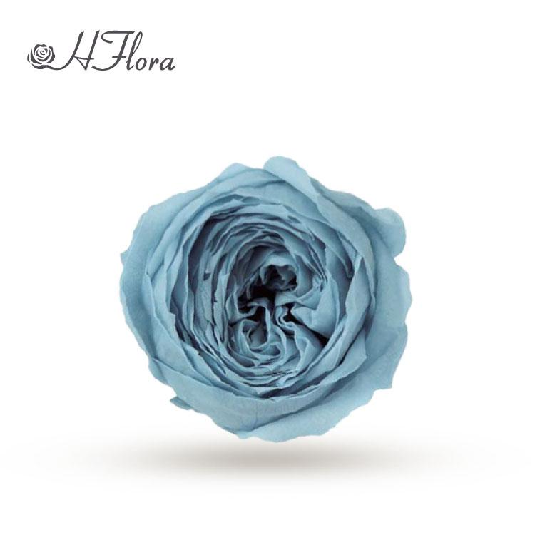 HFlora 3-4cm Preserved Austin Rose Wedding Bouquet Real Touch Dried Flowers Factory Price Long Lasting 3-5 Valentine's Day Day