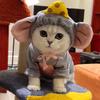 Gatos – Roupa para gatos