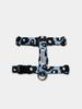 Foreverybari Pansy Harness_Blue