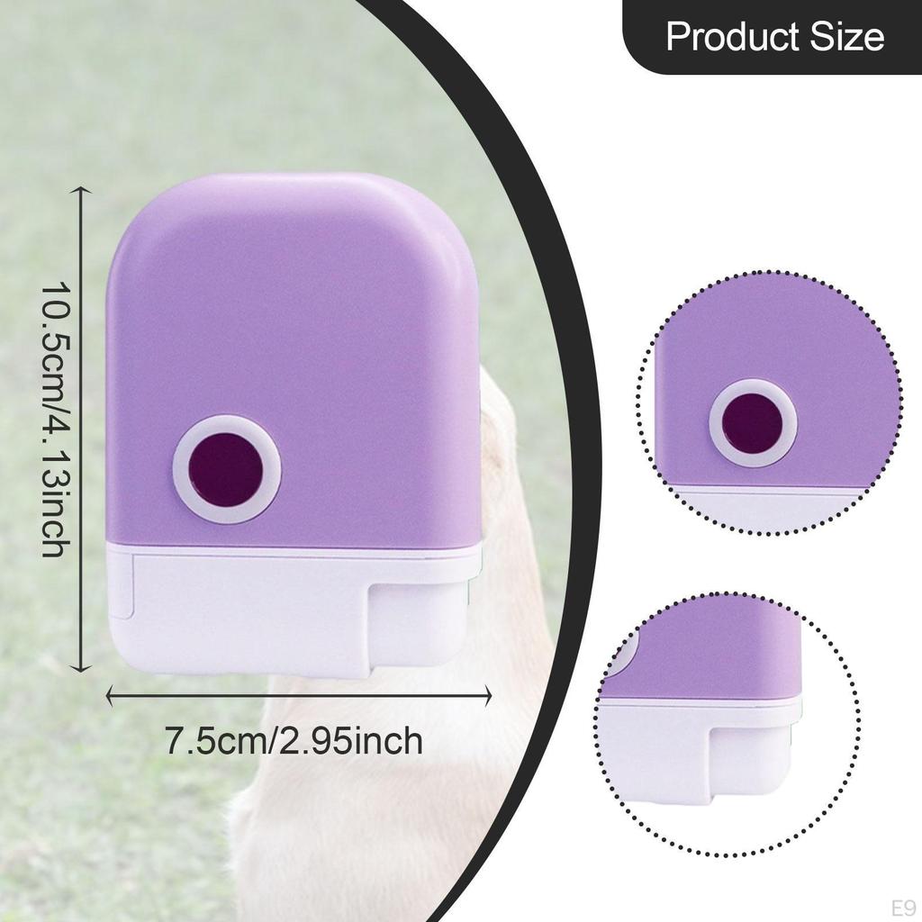 Convenient Pet Feeding Tool with Snack Holder