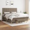 3137169 vidaXL Divan Bed with Mattress Taupe 160x200 Cm Fabric