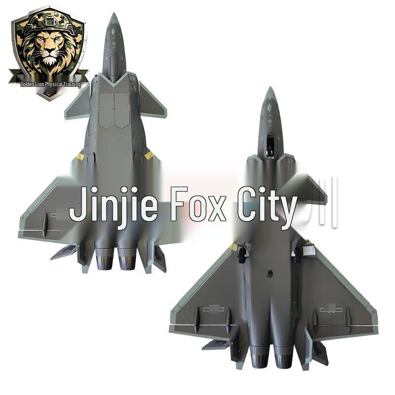 J-20 Fighter Jet Alloy Model