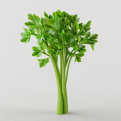 250 σπόροι κλαδιών σέλινου