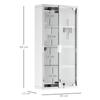 Armadietto Portapillole da Parete a 4 Ripiani in Acciaio Inossidabile con Porta in Vetro Serrabile Scaffali portaoggetti Articoli per la Casa Arredamento Bagno 60A x 30L x 12P(centimetro) con 2 Chiavi
