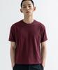 VANNWORKS Crop Short Sleeve T-Shirt (Vs0300) Burgundy