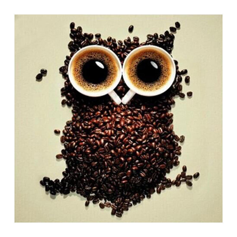 

DIY 3D Алмазная картина Животное Сова Вышивка Крестом Стежок Главная Декор Full Round 20x20CM