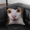 1pc CAT MEME 029 Pillow Case Square Bedroom Sofa Leisure Comfort Cushion Car Living Room Home Decoration