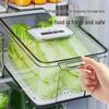 Scatola Contenitore Extra Large per Alimenti per Frutta Fresca, Verdura, Uova e Prodotti Surgelati
