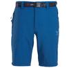 Шорты Altus Taupo I30 Shorts (72602TAI30-020) Methyl Синий
