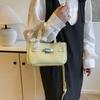 Fashion Portable Small Bag Women's New Spring and Summer Popular Versatile Shoulder Bag Simple Bucket Messenger Bag