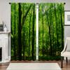 2 шт. Домашние шторы «Зеленый лес» с пейзажным фоном и шторы с карманом для штанги, Кухня, Кофейня, Гостиная