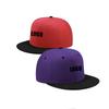 High Quality Blank Flat Brim 6 Panel Mexico Custom Fittedsnapback Embroidered Hat Embroidered Baseball Sport Cap