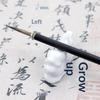 Traditional Chinese Mouse Whiskers Calligraphy Brush Fine Bristle for Writing Ink Painting Art Class Beginner Practice