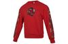 Sweatshirts Men's Red Crew Neck Moderate Regular HD7933