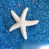 Stelle marine in resina Articoli decorativi per acquario in stile mediterraneo