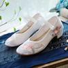 2026 Woman's New Chinese Traditional Low Heel Embroidered Shoe Soft Sole Non Slip Ethnic Style Mary Jane Shoe Cheongsam Shoes