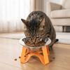 Large Diameter Stainless Steel Cat Bowl Detachable Feeding Bowl Pet High Footed Bowl  Pet Feeding