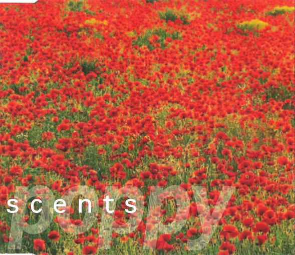 

CD SCENTS - Poppy EP SNAPC11 Snap Records 1993 Sweden Pop Used