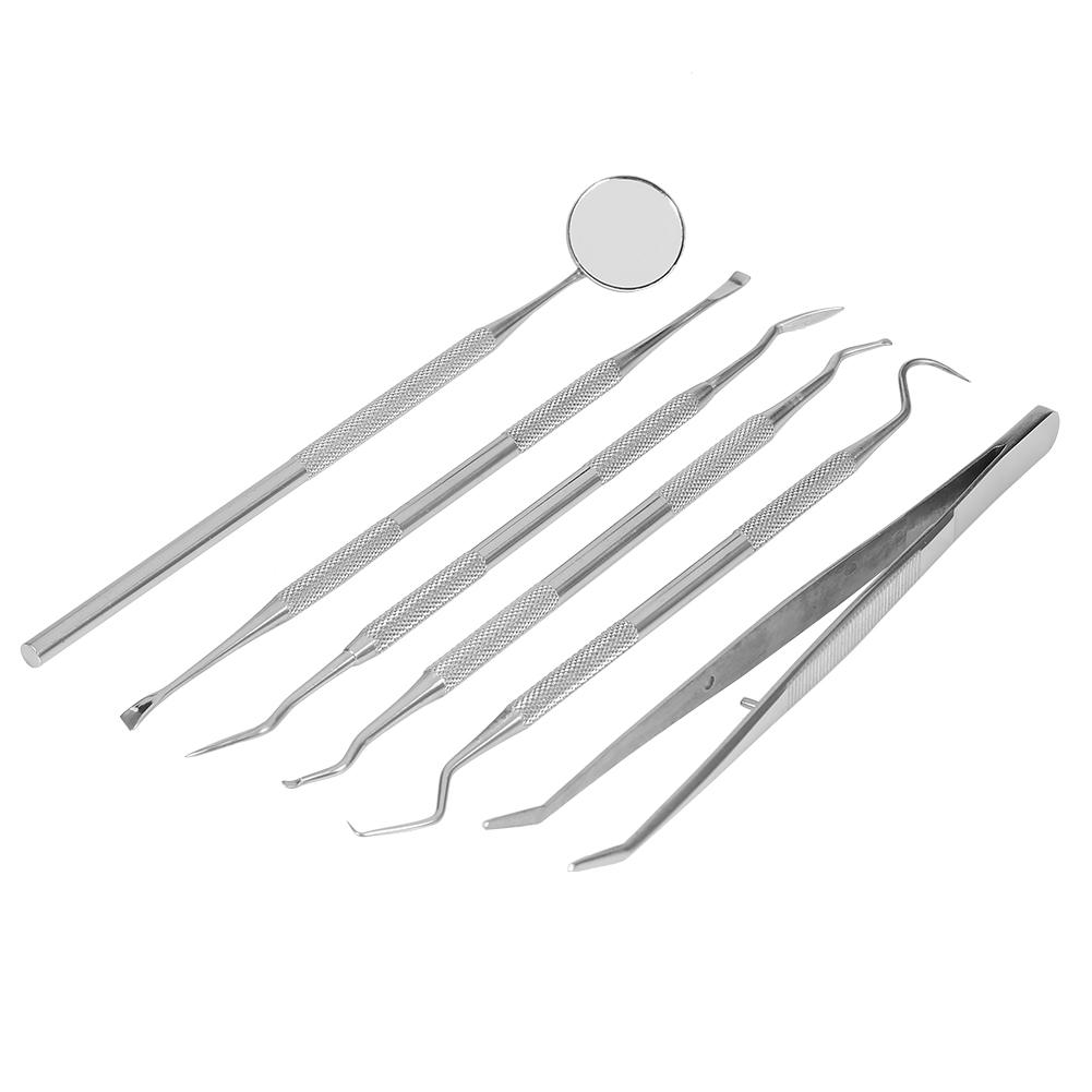 6pcsSet Professional Handle Stainless Dentist Teeth Explorer Needle Cleaning Dental Tool Kit
