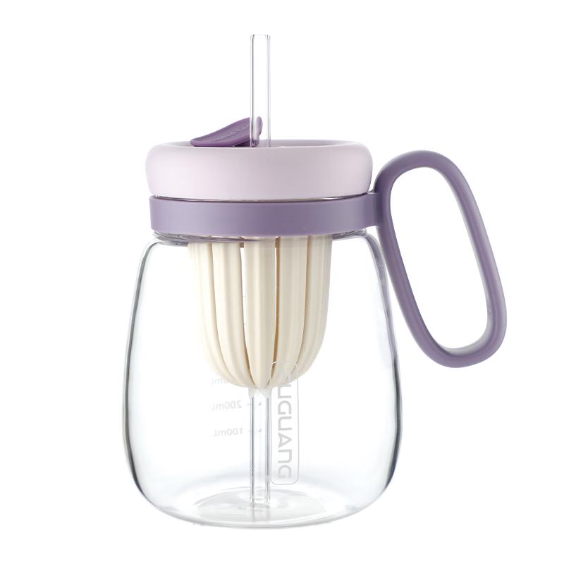 Fuguang High Borosilicate Glass Tea Infuser Water Bottle