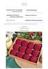 Elegant Wine Red & Dark Green Pumpkin Pattern Christmas Tree Flocking Ball Set