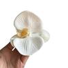 Butterfly Orchid Flower Hair Claw Women Elegant Ponytail Clip Shark Clip Acrylic Temperament Headdress Large Shark Clip Female