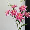 70cm Artificial Lily Flower with 2 Big Blooms Artificial Flowers for Wedding Home DIY Decor Elegant Floral Arrangements