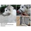 2025 Adjable Nylon Mesh Muzzle For S Medium Lar Dogs Biting Chewing And Lic-ribn XL Pink Dog Muzzle