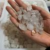 Natural Polished Gemstones for Children's Fish Tank & Landscaping Décor