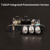 TWS Bluetooth Digital Audio Amplifier Board Mono 100W TPA3116D2 Sound Amplifiers AMP Module With App Control XY-T1001P