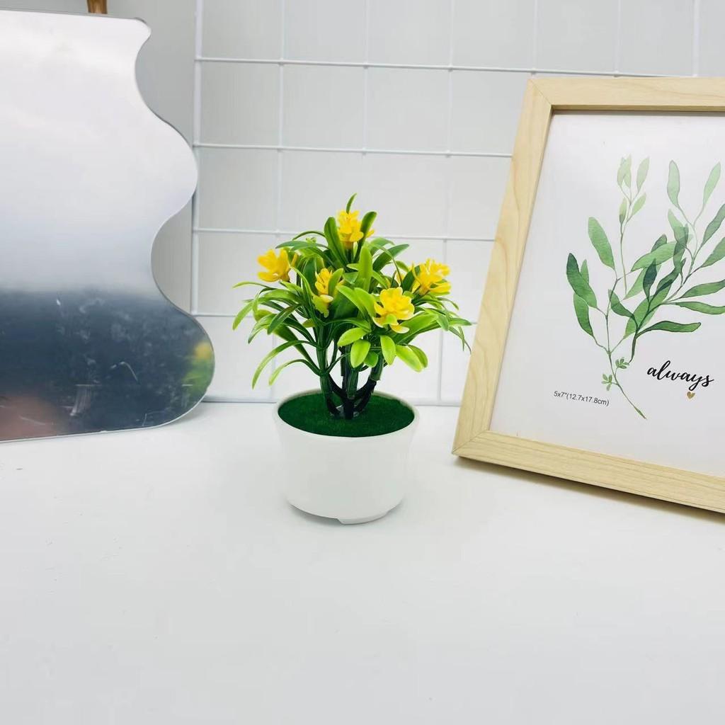 Camellia Artificial Sasanqua Bonsai For Photography Backdrops And Decor Indoor