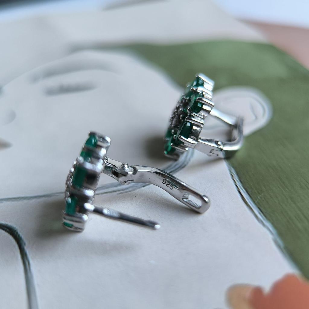 Silver Earrings with Natural Agate 2.983ct (2189596)