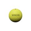 Snell Golf PRIME 1 Dozen Genuine Japanese Product Official Ball 2024 New Model Online Limited Product 4.0 USGA/R&A (Yellow)