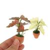 Boliginnredning – Dekorative terrariumer