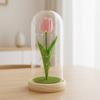 Simulation Tulip Immortal Flower Mother's Day Teachers' Day Gift Glass Cover with Light Valentine's Day Birthday Gift