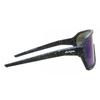 ALPINA Ram Q Lite A8673031 Unisex Sunglasses